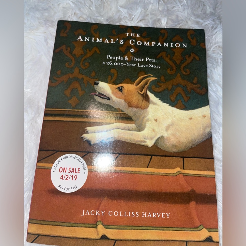 ARC The Animals Companion Book by Jacky Colliss Harvey Advanced Reading Copy